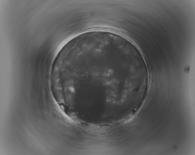 X0000114621533200911101203