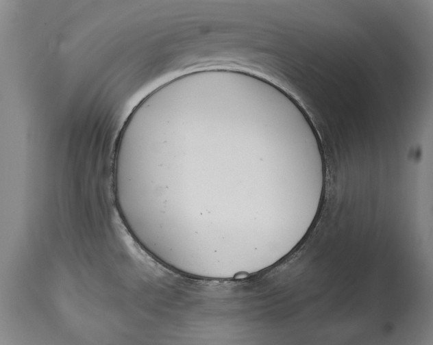 X0000114621534200911101203