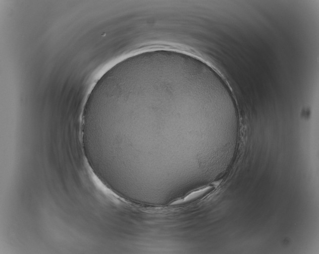 X0000114621535200911101203