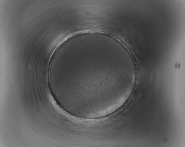 X0000114620002200911171108