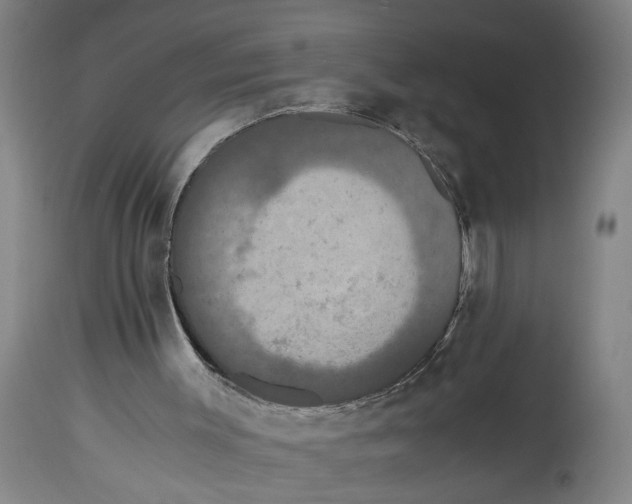 X0000114620003200911171108