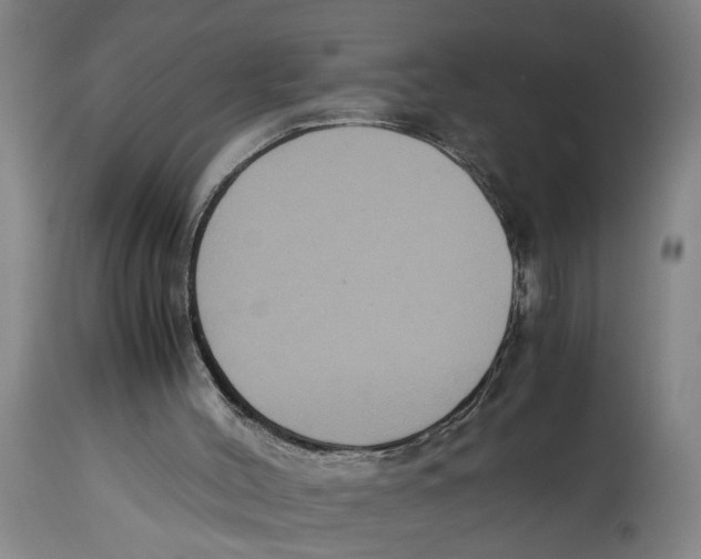 X0000114620004200911171108