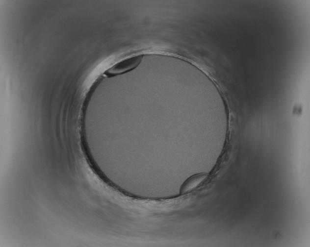 X0000114620007200911171108