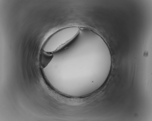 X0000114620008200911171108