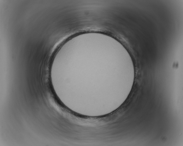 X0000114620012200911171108