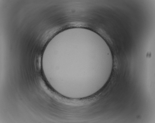 X0000114620014200911171108