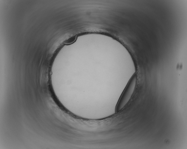 X0000114620015200911171108