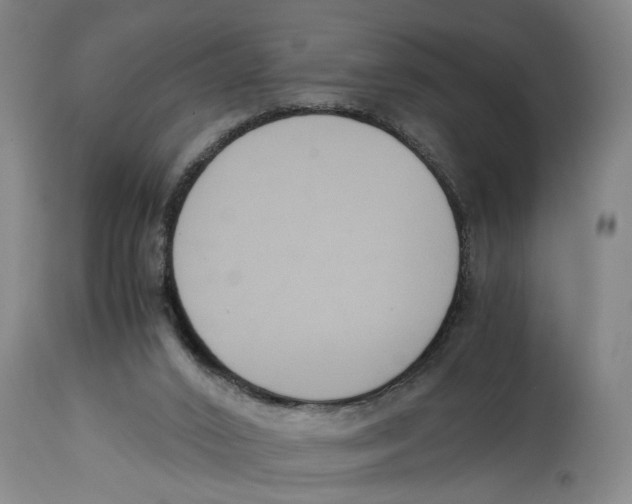 X0000114620016200911171108