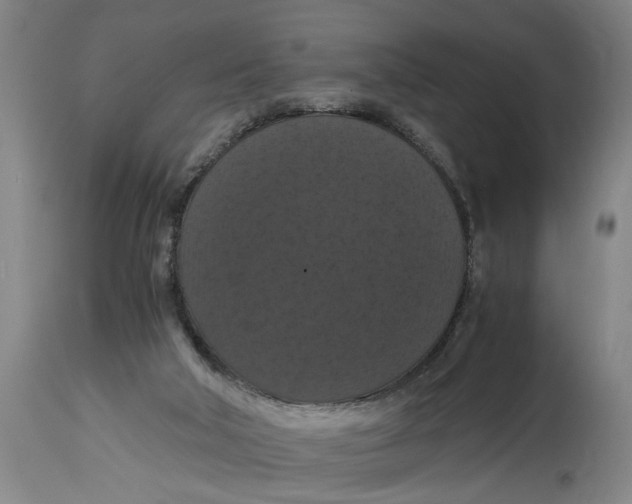 X0000114620018200911171108