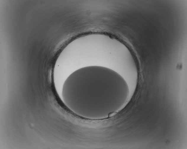 X0000114620019200911171108