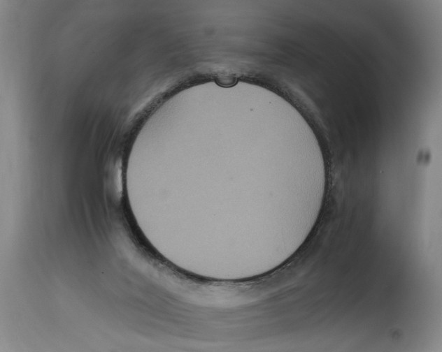 X0000114620020200911171108