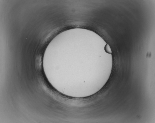 X0000114620024200911171108