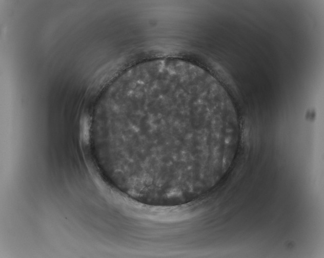 X0000114620026200911171108