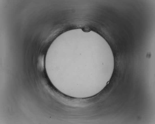 X0000114620028200911171108