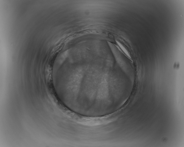 X0000114620029200911171108