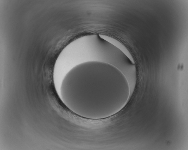 X0000114620031200911171108