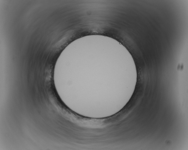 X0000114620032200911171108