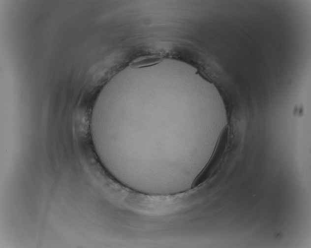 X0000114620037200911171108