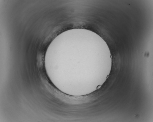 X0000114620038200911171108