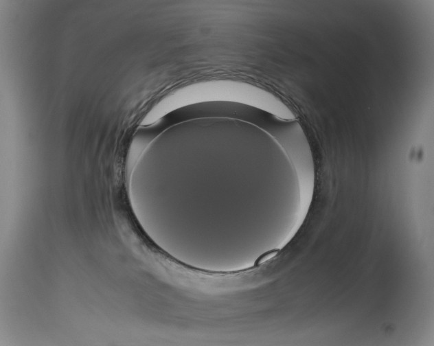 X0000114620039200911171108