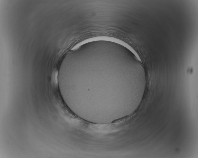 X0000114620041200911171108