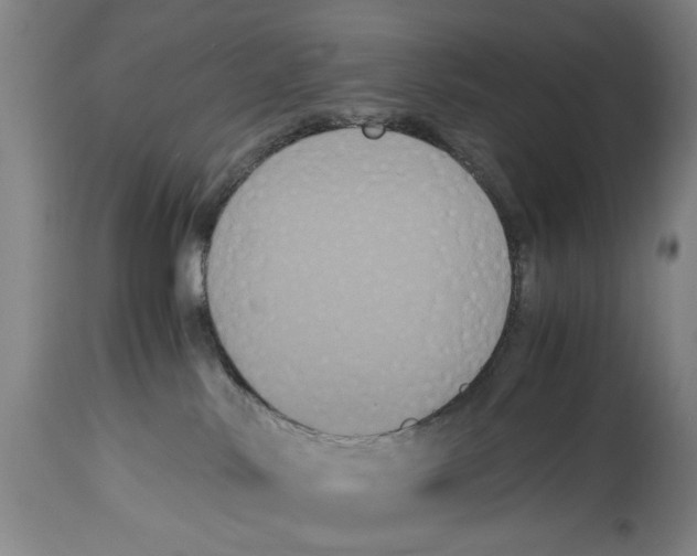 X0000114620042200911171108