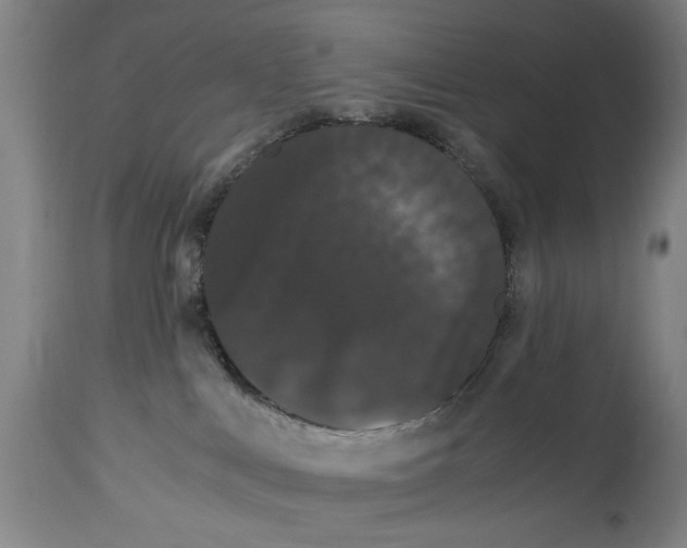 X0000114620043200911171108