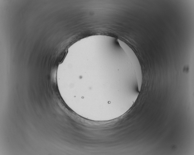 X0000114620047200911171108