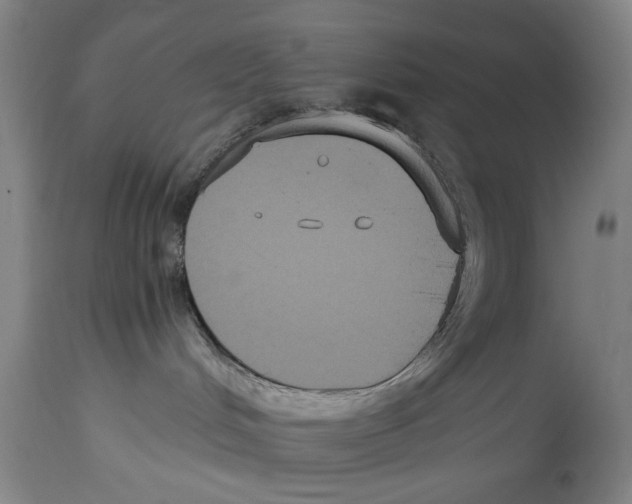 X0000114620048200911171108