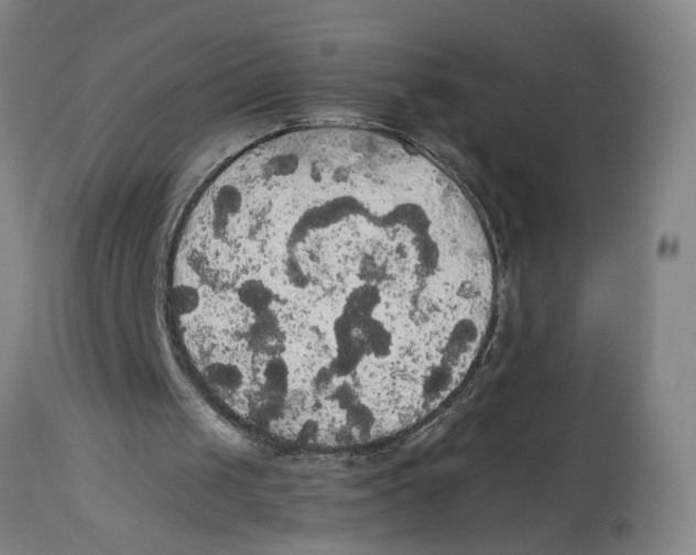 X0000114620049200911171107