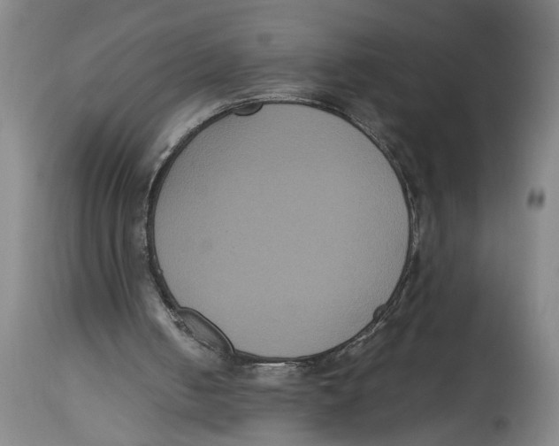 X0000114620050200911171107