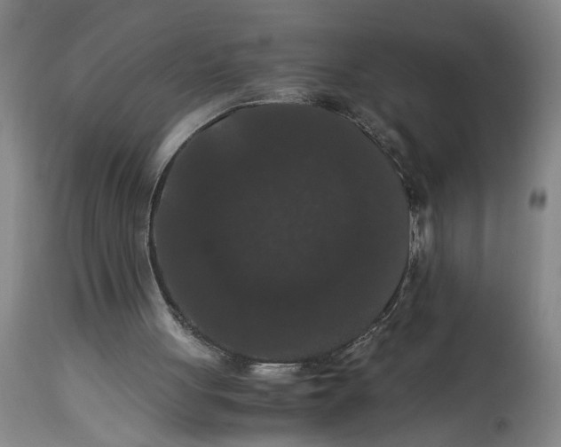 X0000114620051200911171107