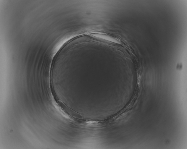 X0000114620052200911171107