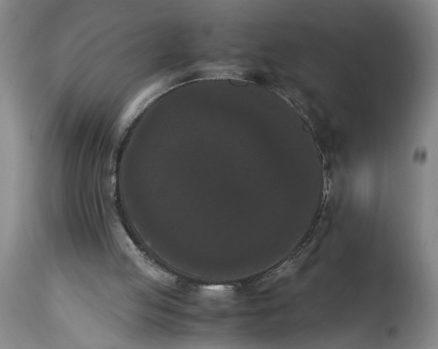 X0000114620053200911171107