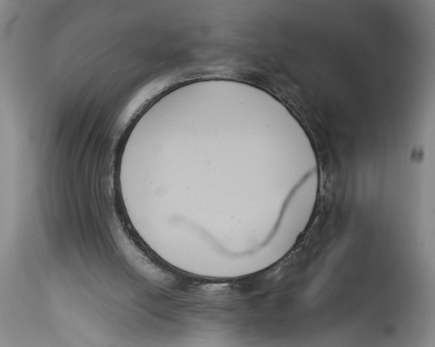 X0000114620054200911171107