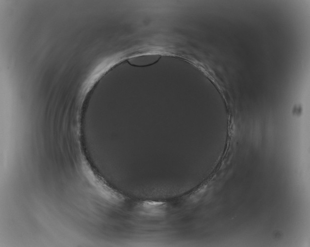 X0000114620055200911171107