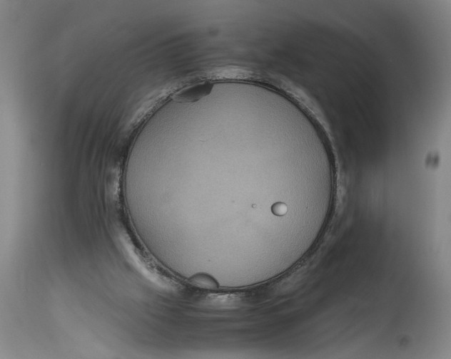 X0000114620057200911171107