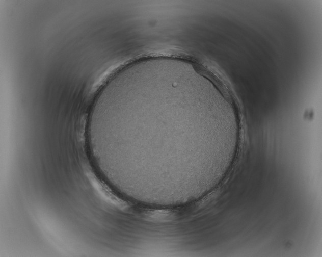 X0000114620058200911171107