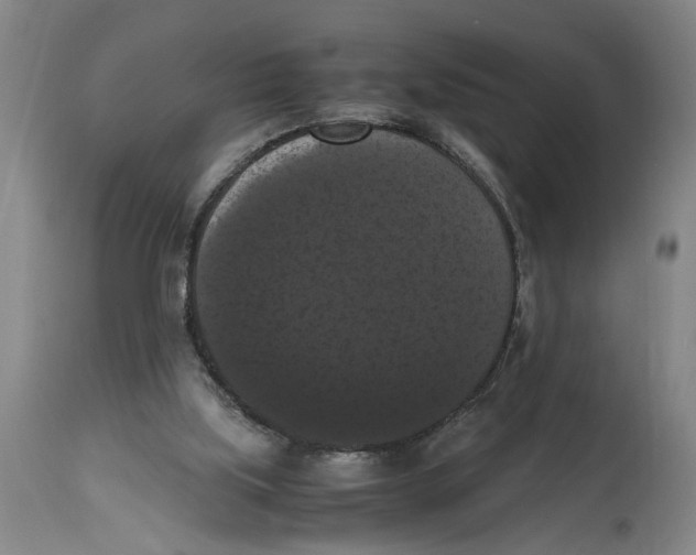 X0000114620059200911171107