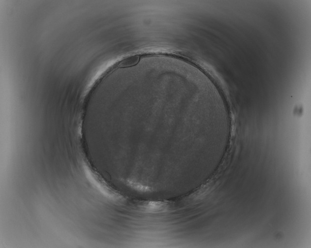 X0000114620060200911171107