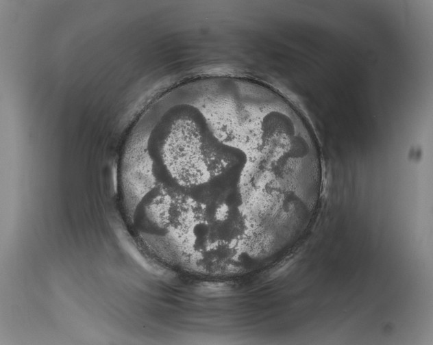 X0000114620061200911171107