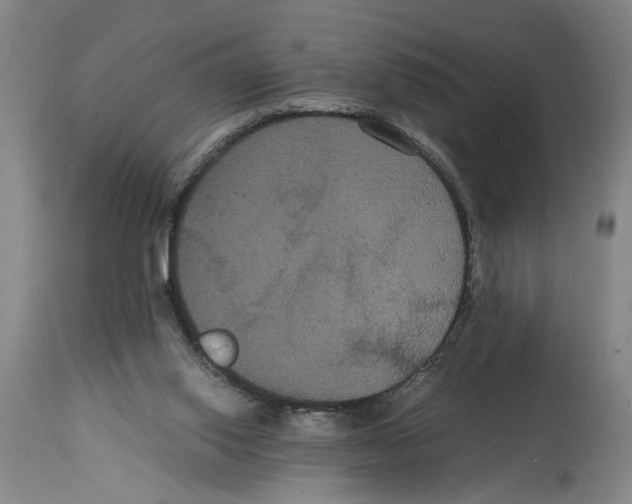 X0000114620062200911171107