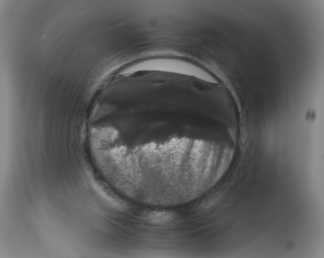 X0000114620063200911171107