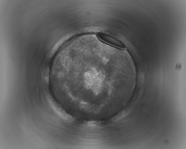 X0000114620064200911171107