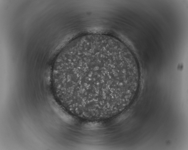 X0000114620065200911171107