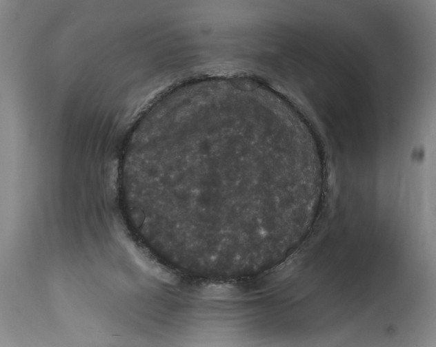 X0000114620066200911171107