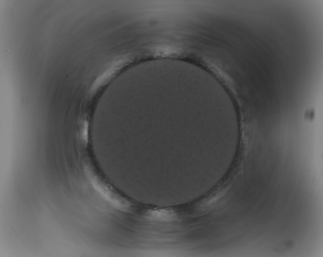 X0000114620067200911171107