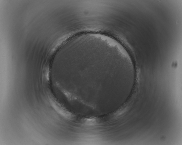 X0000114620068200911171107