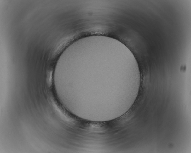 X0000114620070200911171107