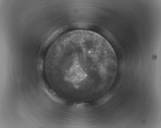 X0000114620072200911171107